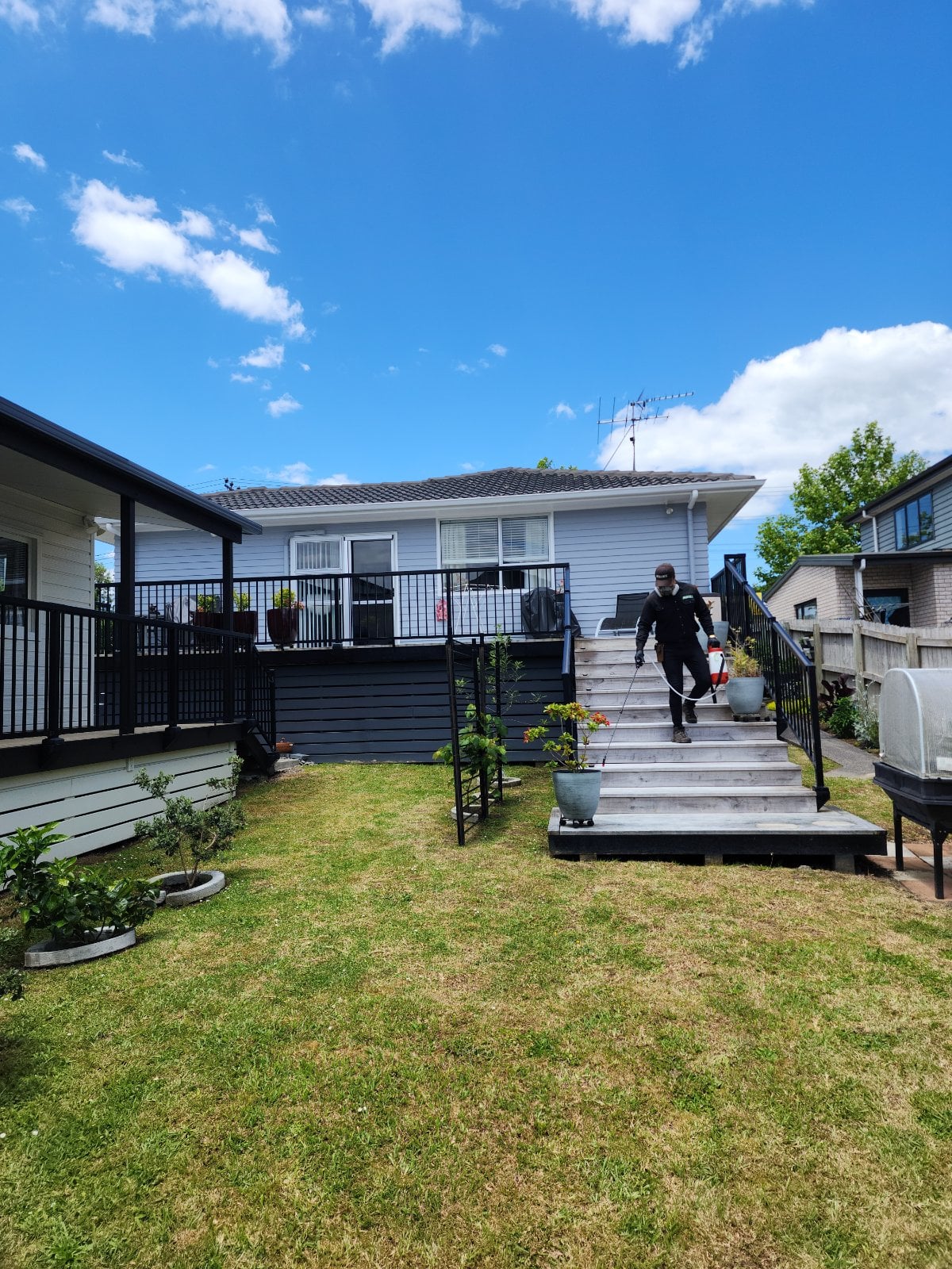 Exterior Spider Spray Treatment, Henderson Valley