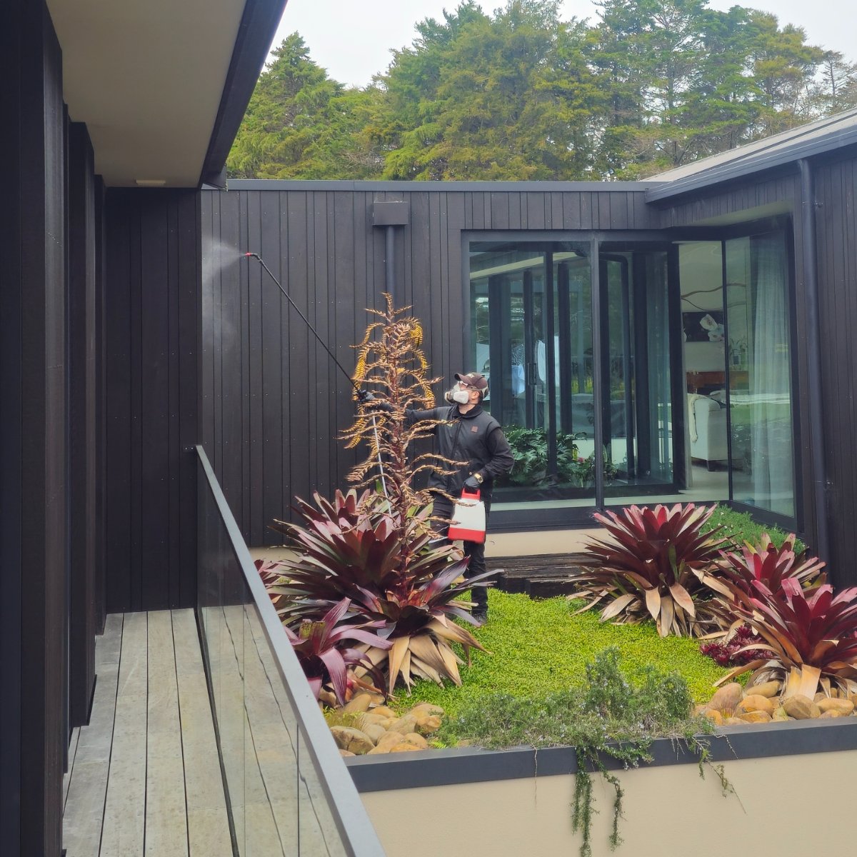 Exterior Spider Spray Treatment, Riverhead