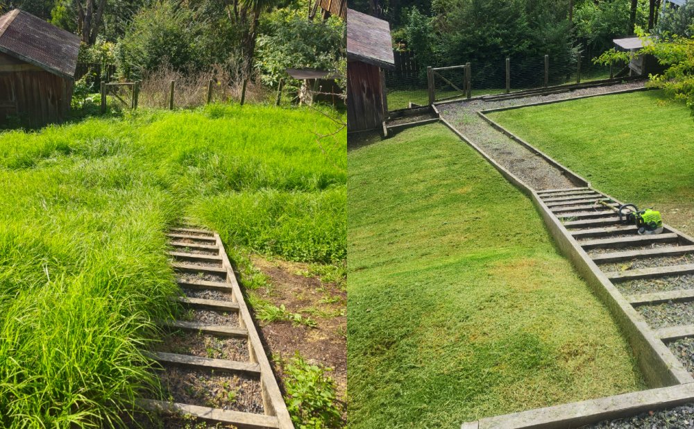 Lawn Care